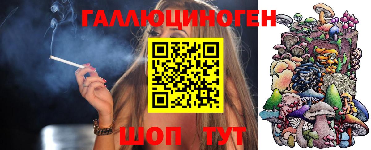 Касимов  Галлюциногенные грибы мицелий  Вход с VPN  Галлюциногенные грибы Psilocybe 